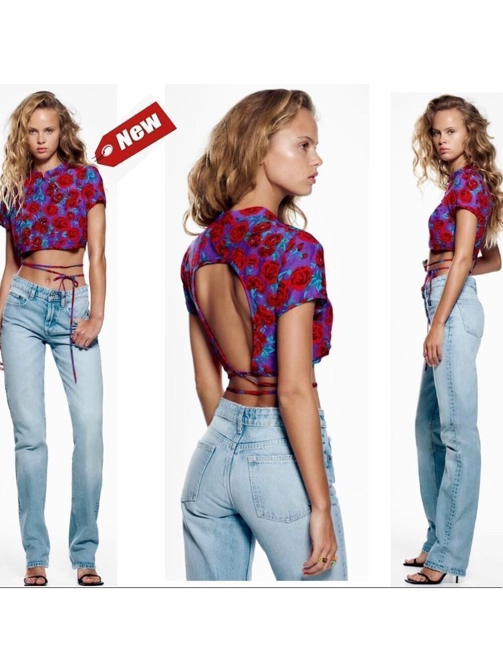 ZARA round neck floral rose crop top short sleeve Sz S purple red blue NWT
